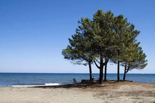Camping Merendella Moriani Plage Bagian luar foto